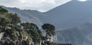 Ile kosztuje samochód Bentley? Ile kosztuje samochód Bentley?