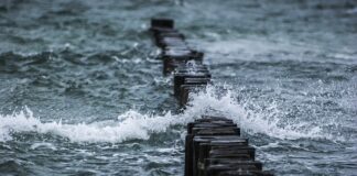 Jaka lina na fal miecza?