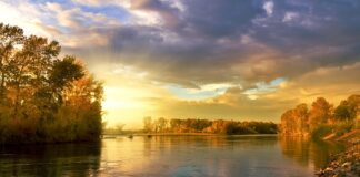 Co oznaczają kolory pasów transportowych?