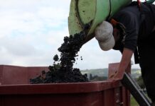 W jakim przypadku przewoźnik nie odpowiada za ubytek przesyłki?