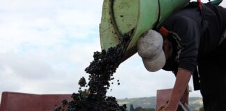 W jakim przypadku przewoźnik nie odpowiada za ubytek przesyłki? W jakim przypadku przewoźnik nie odpowiada za ubytek przesyłki?