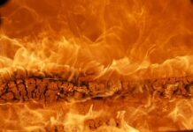 Jaka marka quada jest najlepsza?