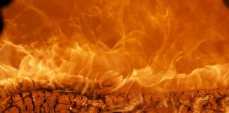 Jaka marka quada jest najlepsza?