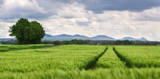 Jakich marek opon nie kupować?