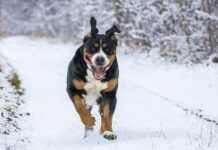 Kiedy zmienić bieg z 1 na 2?