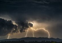 Co grozi pasażerowi gdy kierowca nie ma prawa jazdy? Co grozi pasażerowi gdy kierowca nie ma prawa jazdy?