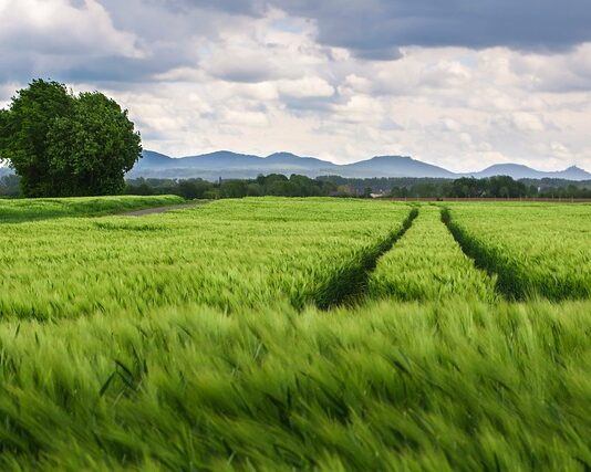 Co ile wymiana opon letnich?