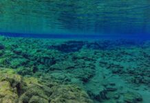 Czy można wrzucić na luz podczas jazdy przy automatycznej skrzyni?