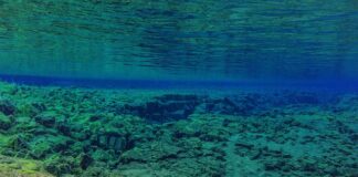 Czy można wrzucić na luz podczas jazdy przy automatycznej skrzyni?