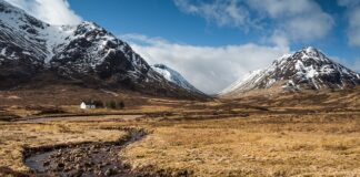 Co oznacza litera R na oponie? Co oznacza litera R na oponie?