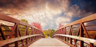 Ile kosztuje przednia szyba?