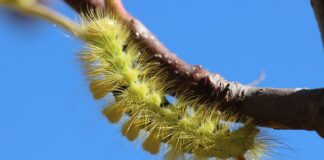 Czy można kupić prostownik na stacji benzynowej?