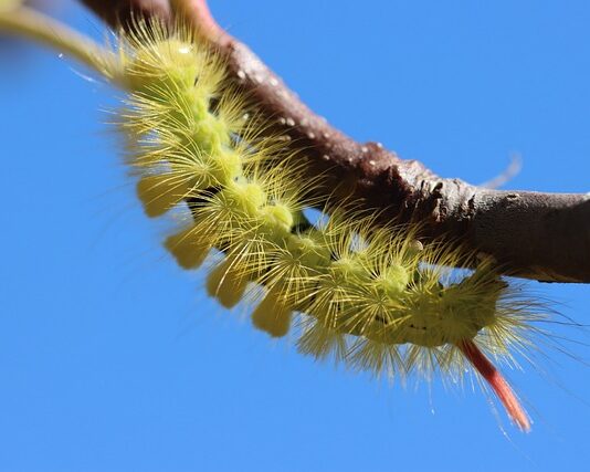 Czy można kupić prostownik na stacji benzynowej?