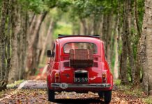 Ile kosztuje nowy Fiat Linea? Ile kosztuje nowy Fiat Linea?