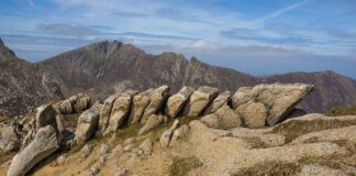 Jak układać towar na palecie? Jak układać towar na palecie?