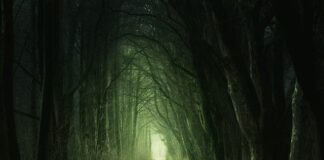 Co daje zielona szyba w samochodzie?