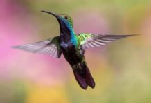 Jak latać bokiem na ręcznym? Jak latać bokiem na ręcznym?