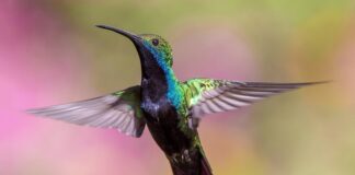 Jak latać bokiem na ręcznym? Jak latać bokiem na ręcznym?