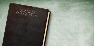 Jak nazywa się tylna część statku?