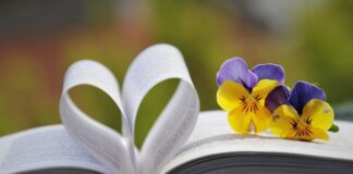 Co to jest odczyt drogomierza? Co to jest odczyt drogomierza?