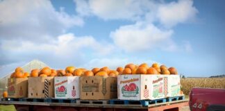 Jak dbać o skrzynię biegów?