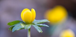 Ile kosztuje zimowanie przyczepy kempingowej?