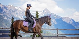 Czy można jeździć bez prawa jazdy przy sobie? Czy można jeździć bez prawa jazdy przy sobie?