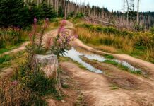 Jak zjeżdżać z Gorki?