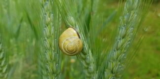 Jak uszczelnić próg drzwi wejściowe od spodu?