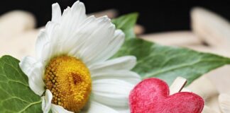 Jaki zacisk do liny 10mm?