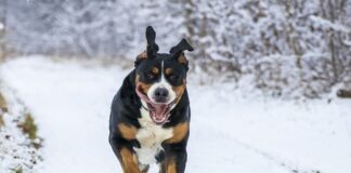 Jak wrzucić 5 bieg?