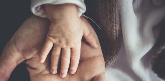 W jakiej cenie są maluchy? W jakiej cenie są maluchy?