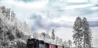 Gdzie należy trzymać ładunek podczas jego transportu? Gdzie należy trzymać ładunek podczas jego transportu?