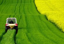 Jaka lina do ciągnika?