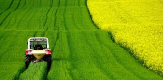 Jaka lina do ciągnika? Jaka lina do ciągnika?