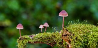 Jakie są rodzaje szyb? Jakie są rodzaje szyb?