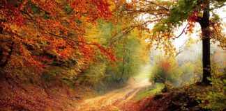 Kiedy spadek cen samochodów? Kiedy spadek cen samochodów?