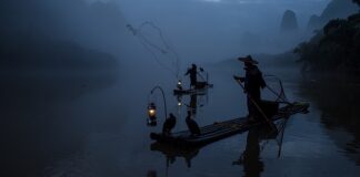 Kto jest właścicielem firmy Kormoran? Kto jest właścicielem firmy Kormoran?